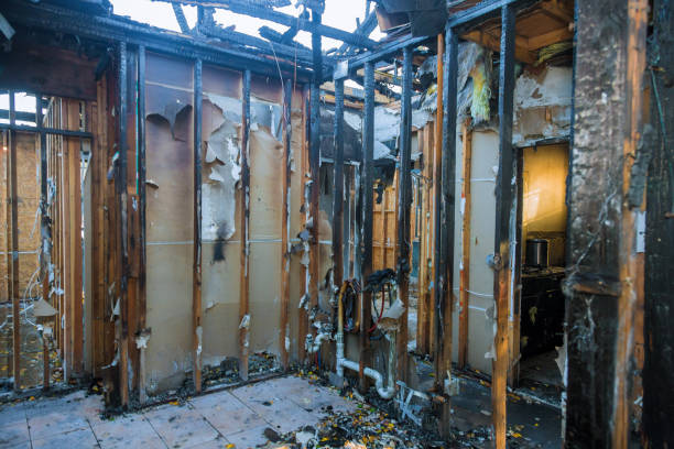 Professional Fire Damage Restoration technician working in Seffner, FL