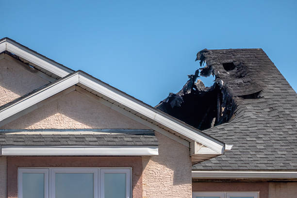 Top rated local Fire Damage Restoration specialists in Seffner, FL